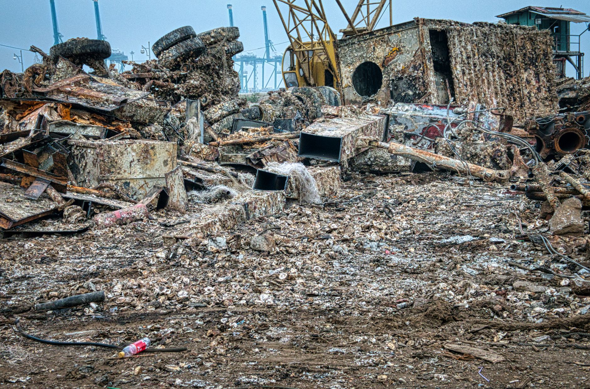 Radioactive waste ocean dumping: The Worst Environmental Disaster